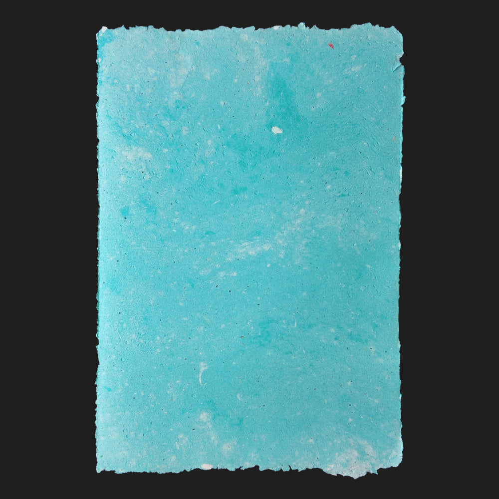 PULP XPERIMENTS [ NOV 25 ]