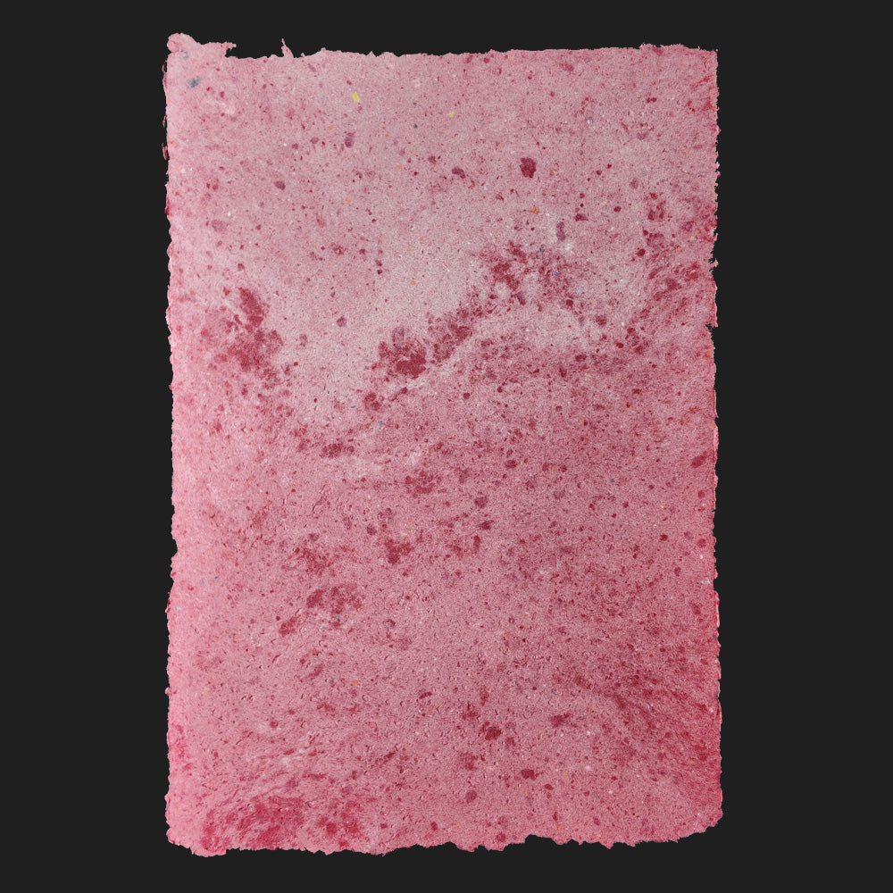 PULP XPERIMENTS [ NOV 25 ]