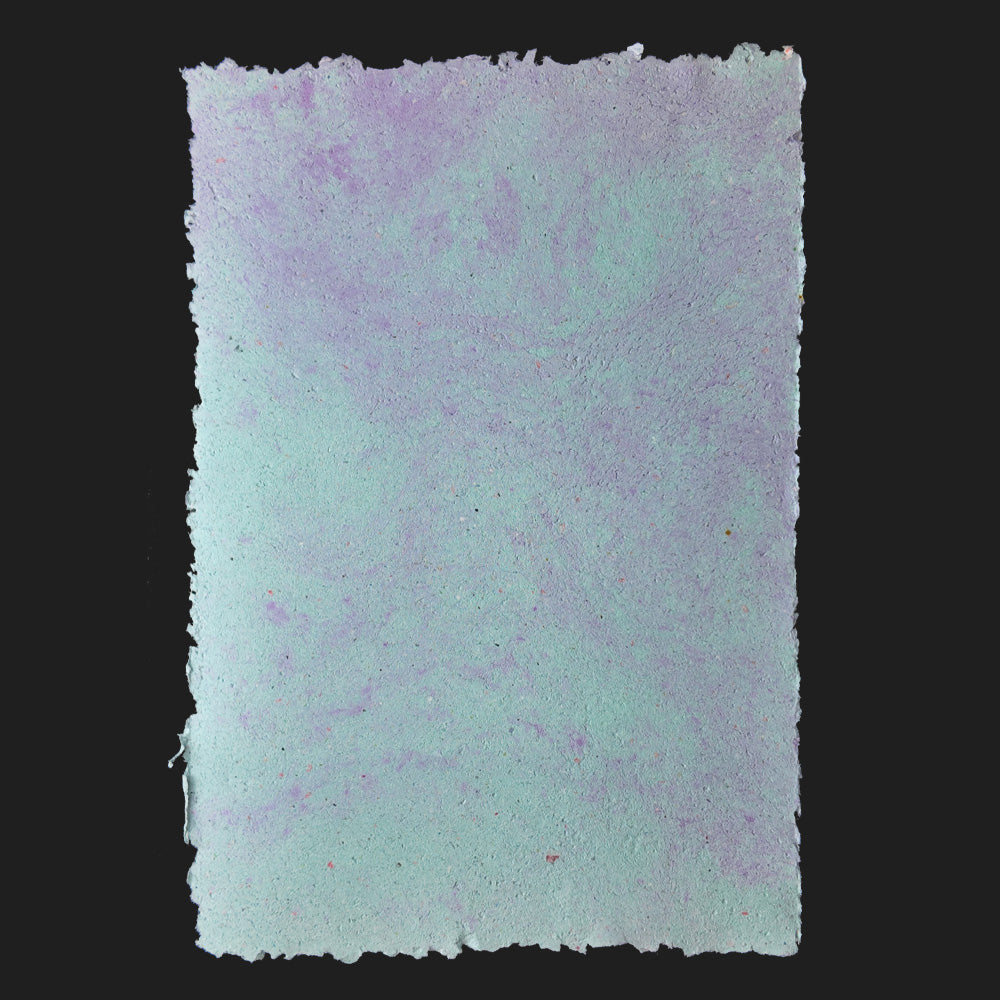 PULP XPERIMENTS [ NOV 25 ]