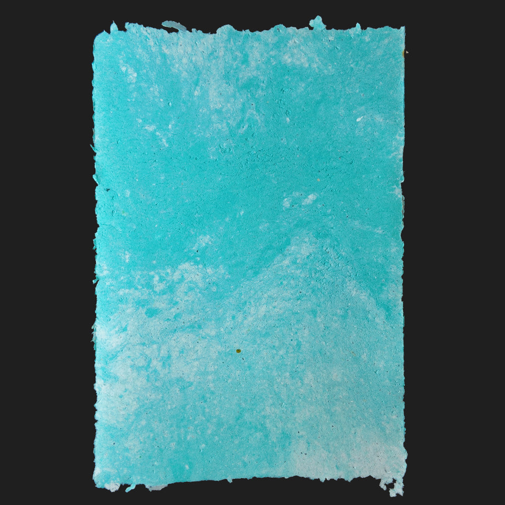 PULP XPERIMENTS [ NOV 25 ]