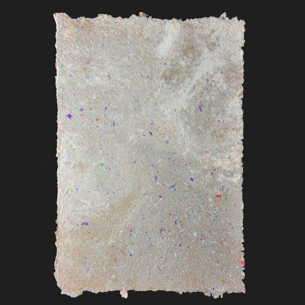 PULP XPERIMENTS [ NOV 25 ]