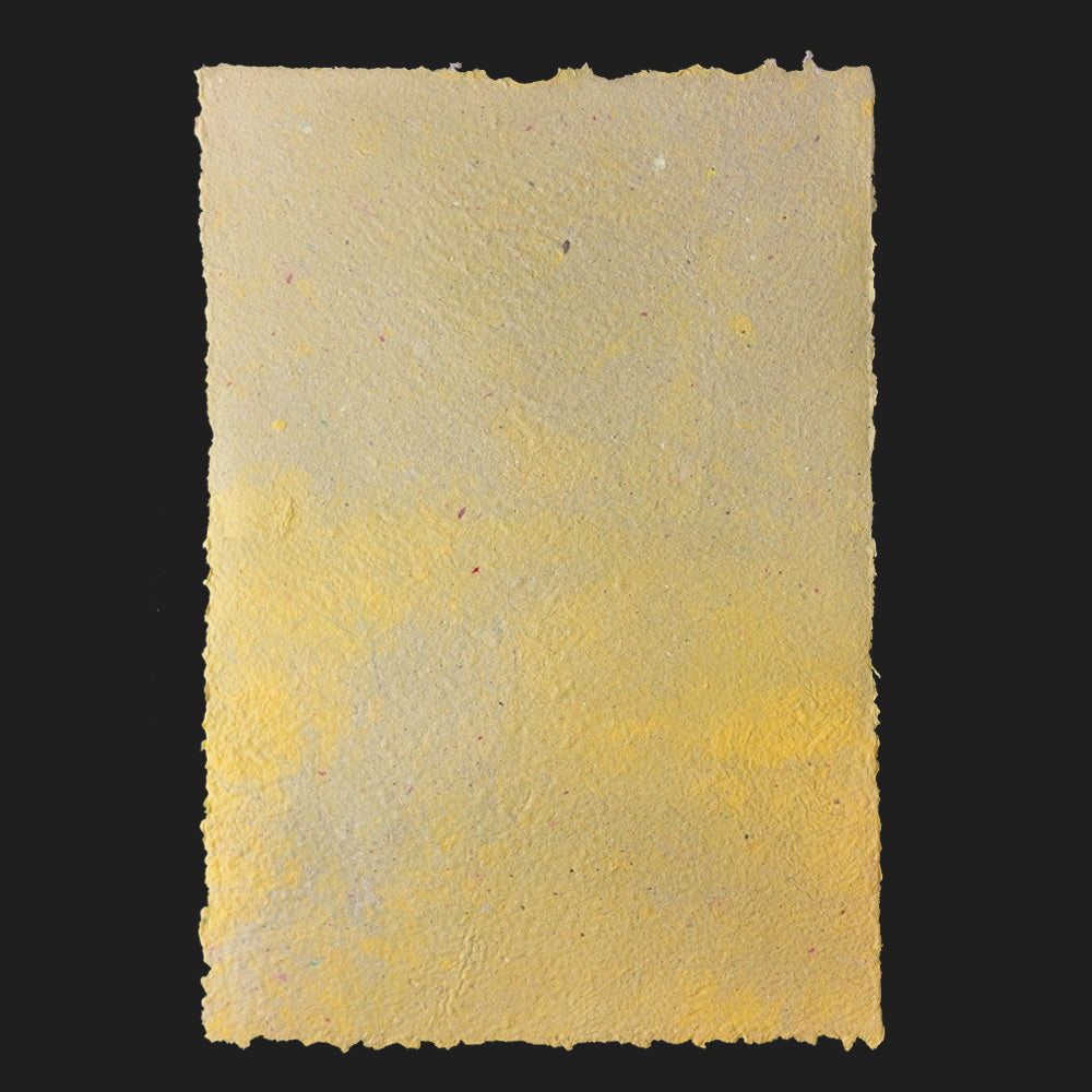 PULP XPERIMENTS [ NOV 25 ]