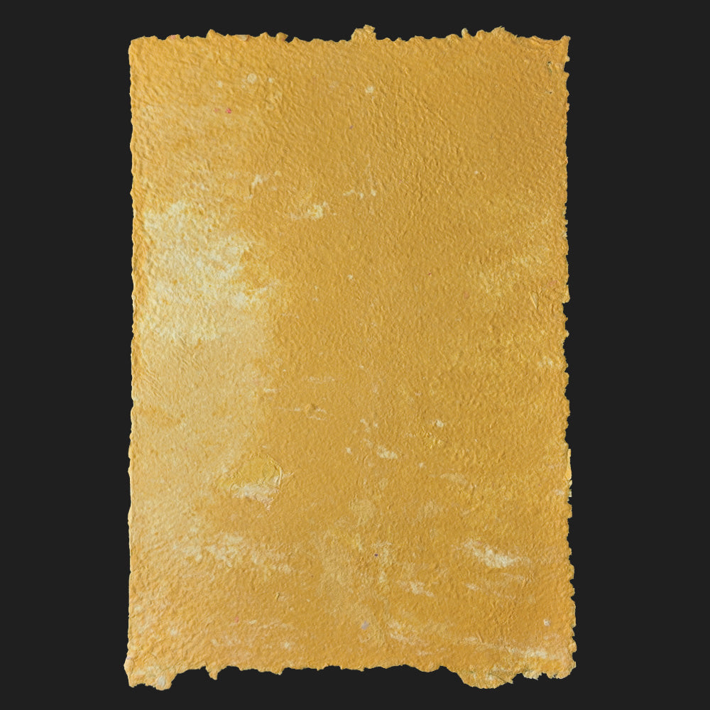 PULP XPERIMENTS [ NOV 25 ]