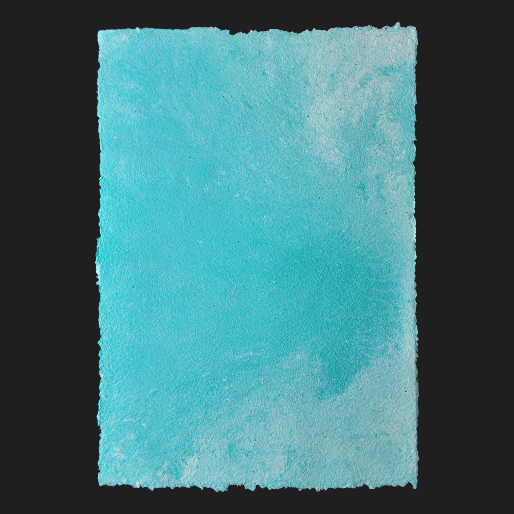 PULP XPERIMENTS [ NOV 25 ]