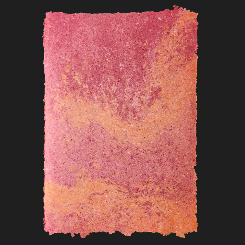 PULP XPERIMENTS [ NOV 25 ]