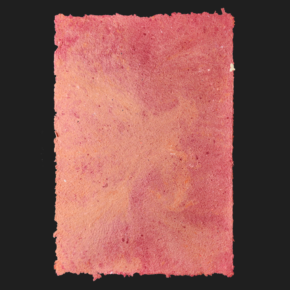 PULP XPERIMENTS [ NOV 25 ]