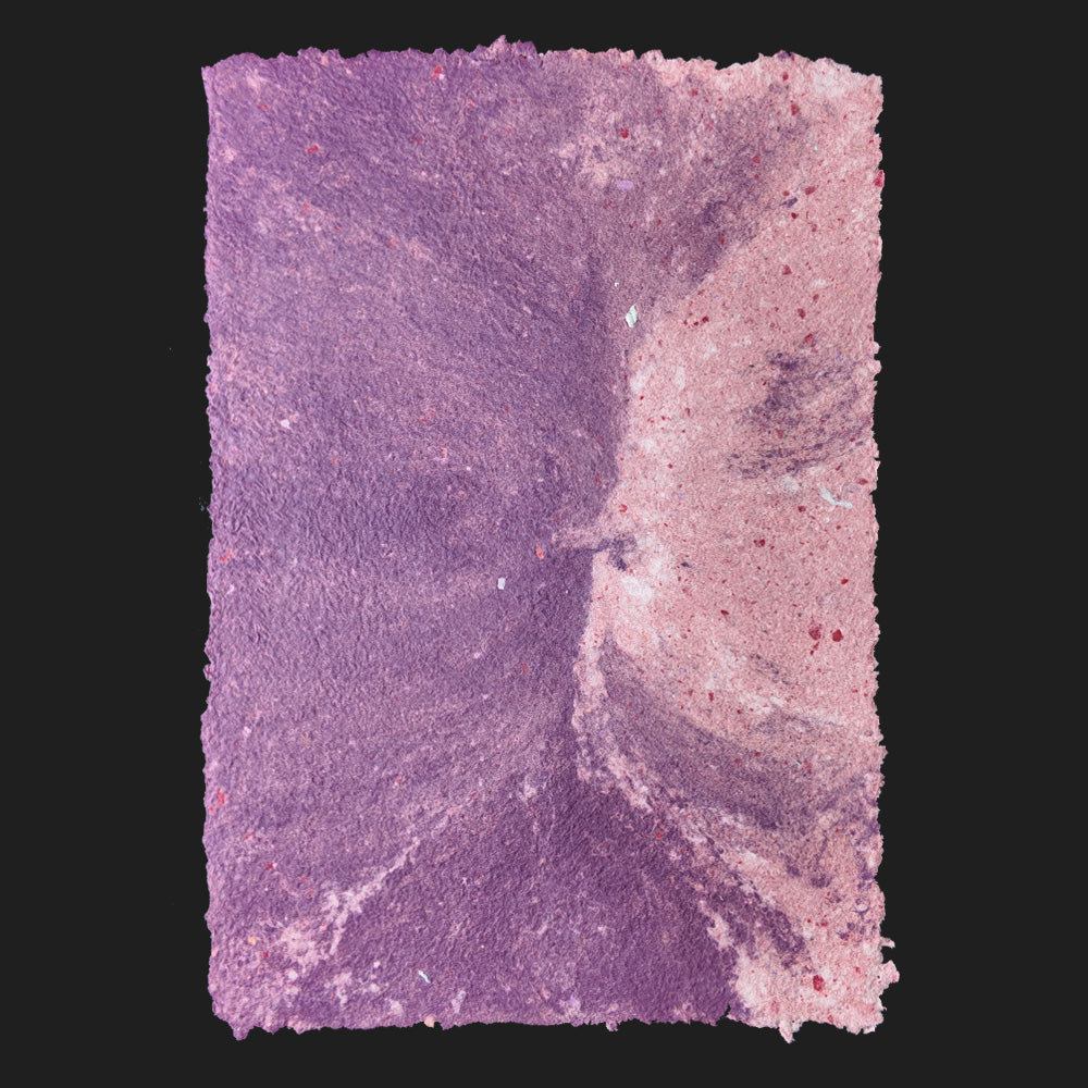 PULP XPERIMENTS [ NOV 25 ]