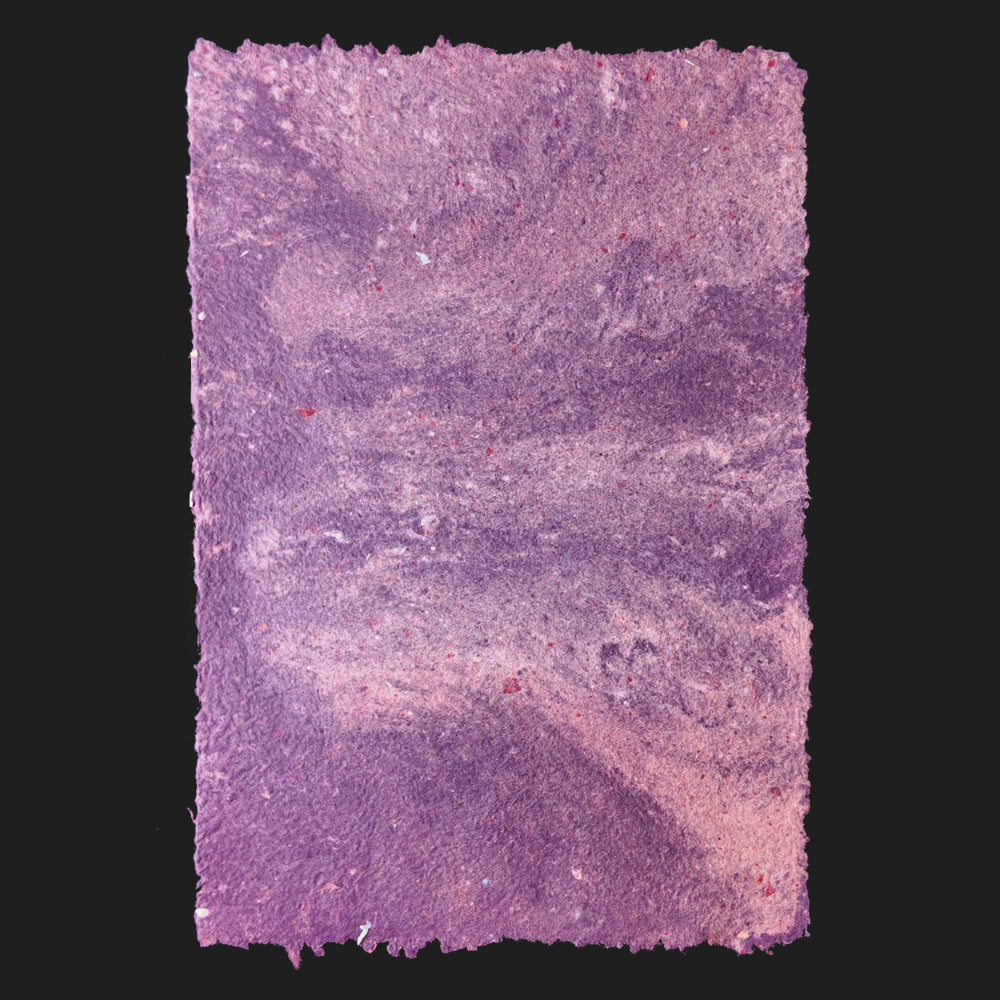 PULP XPERIMENTS [ NOV 25 ]