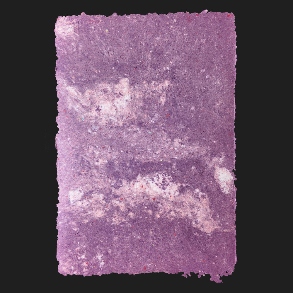 PULP XPERIMENTS [ NOV 25 ]