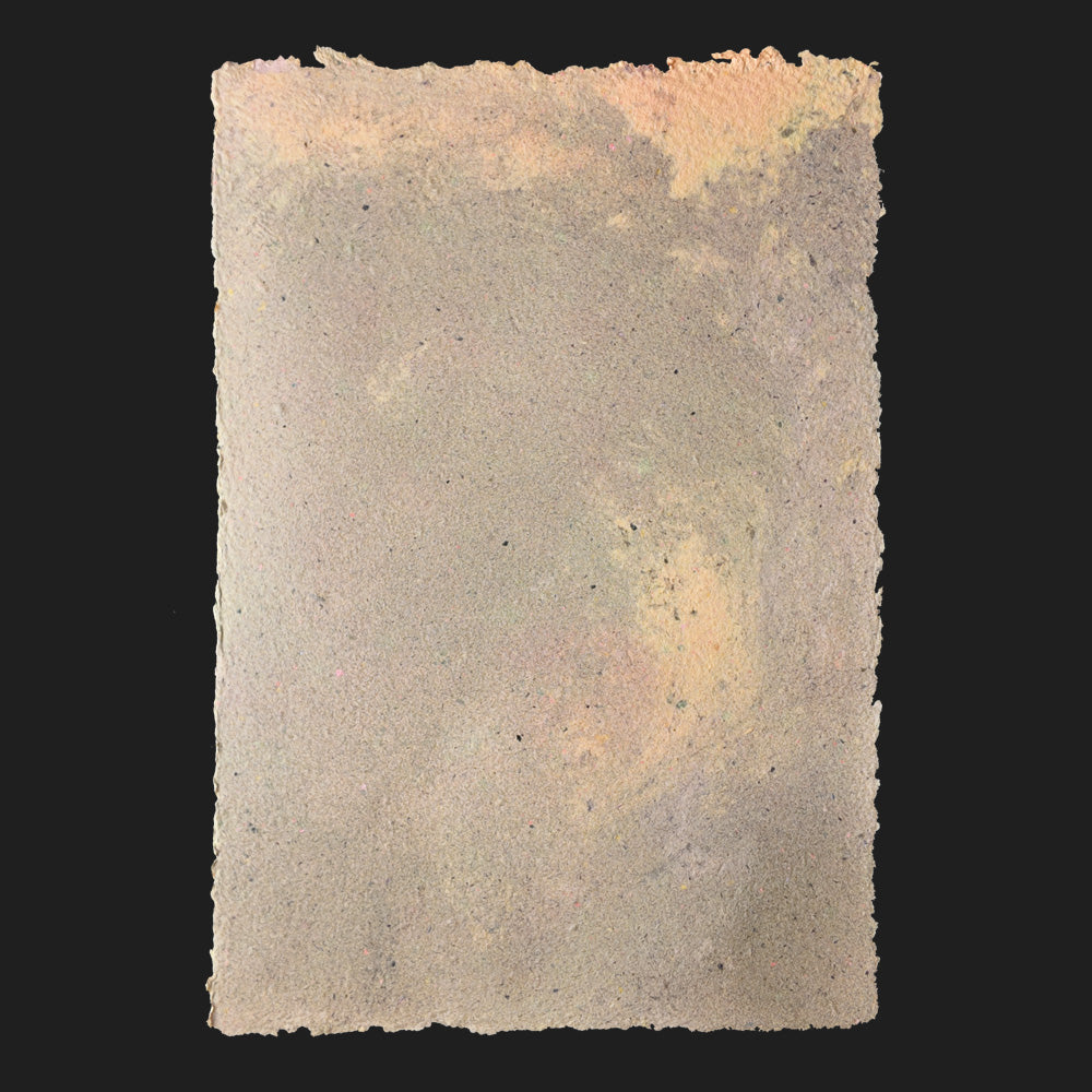 PULP XPERIMENTS [ NOV 25 ]