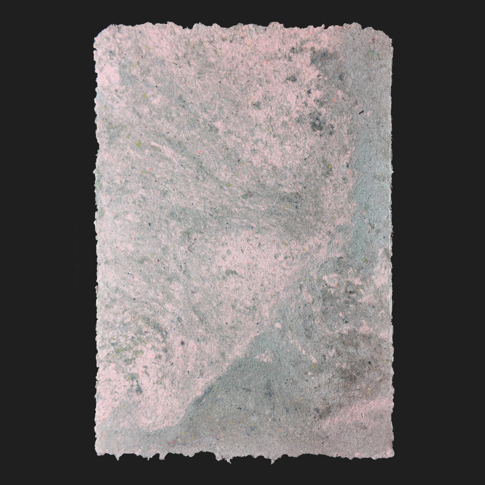 PULP XPERIMENTS [ NOV 25 ]