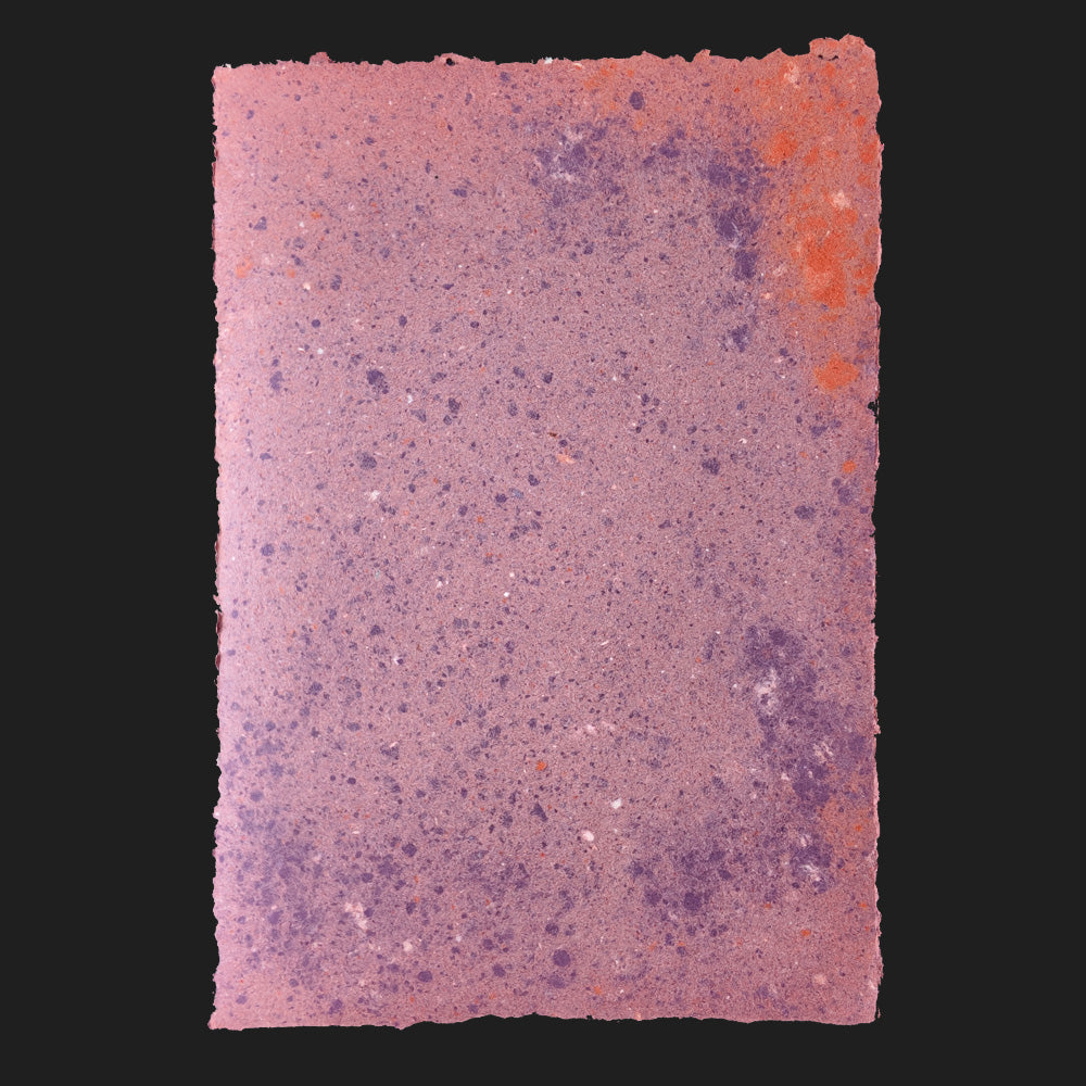 PULP XPERIMENTS [ NOV 25 ]