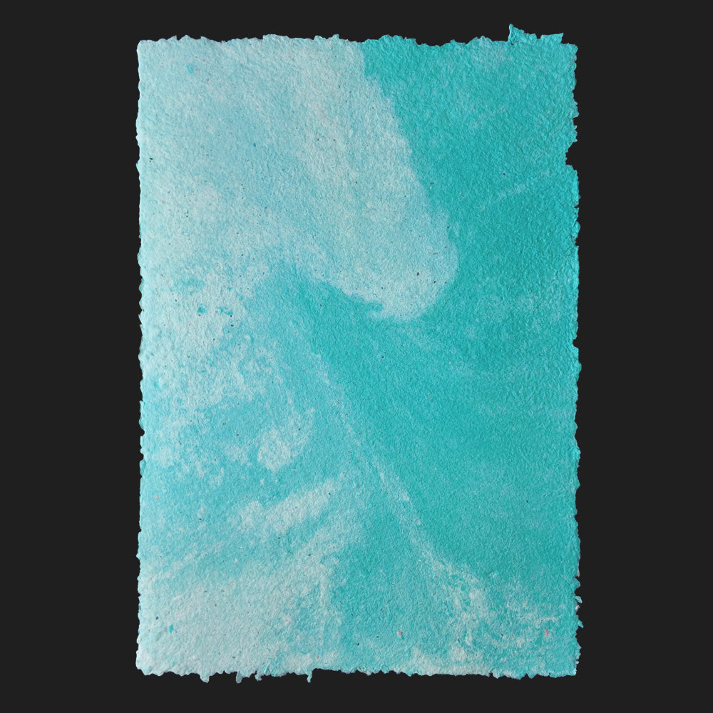 PULP XPERIMENTS [ NOV 25 ]