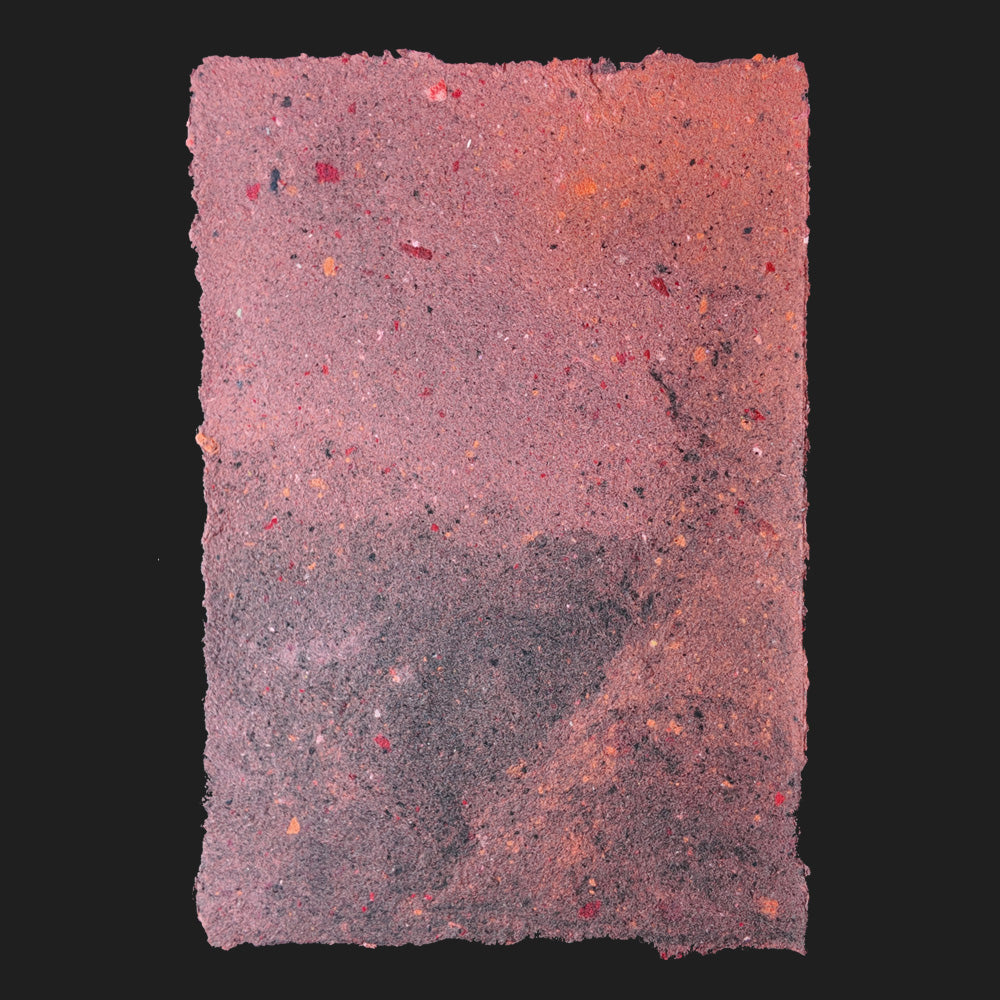 PULP XPERIMENTS [ NOV 25 ]