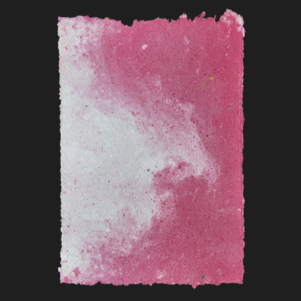 PULP XPERIMENTS [ NOV 25 ]