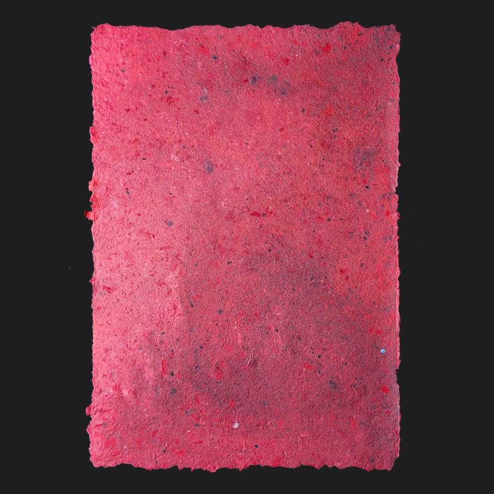 PULP XPERIMENTS [ NOV 25 ]