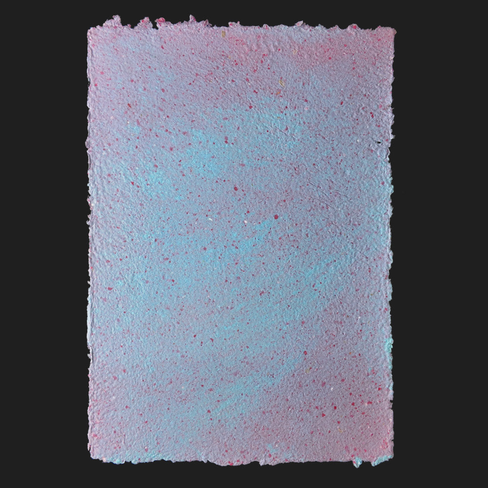 PULP XPERIMENTS [ NOV 25 ]