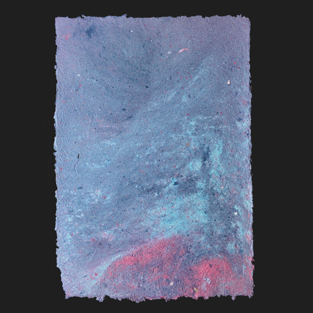 PULP XPERIMENTS [ NOV 25 ]