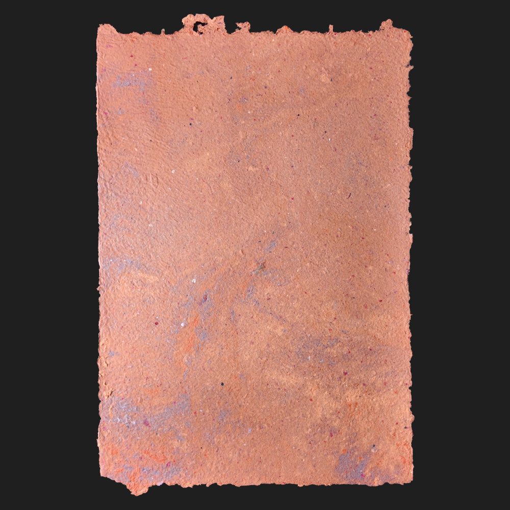 PULP XPERIMENTS [ NOV 25 ]