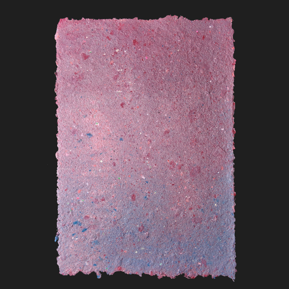 PULP XPERIMENTS [ NOV 25 ]