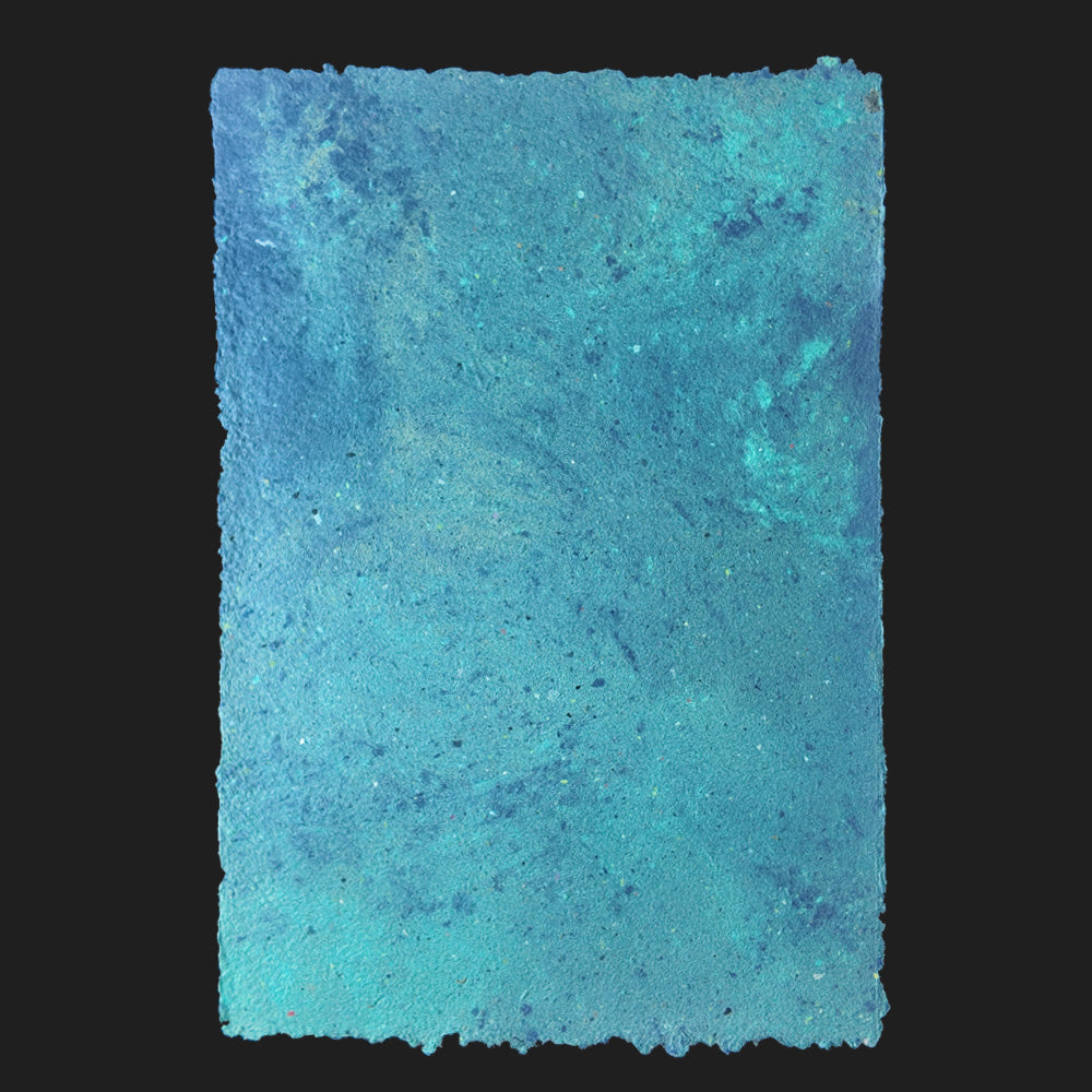 PULP XPERIMENTS [ NOV 25 ]