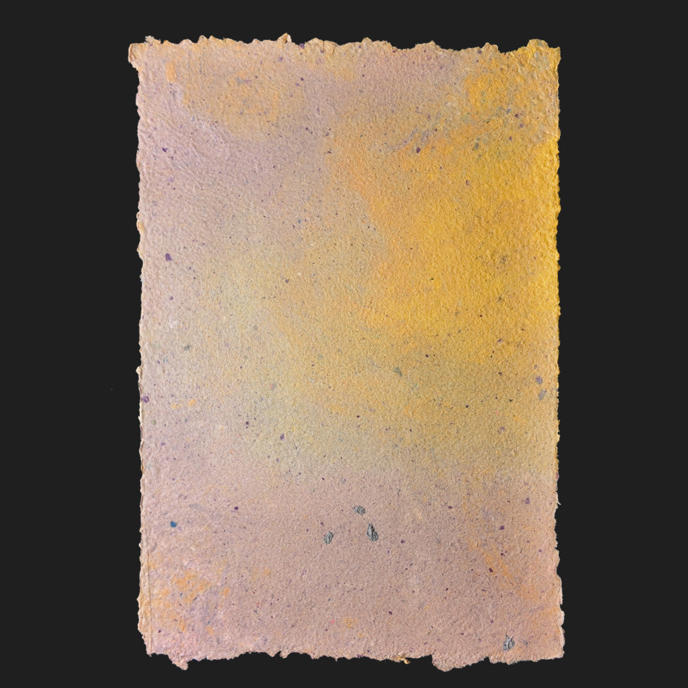 PULP XPERIMENTS [ NOV 25 ]