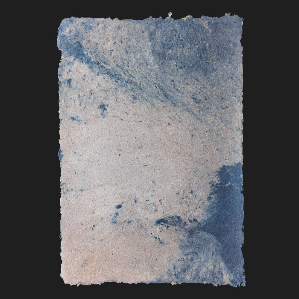 PULP XPERIMENTS [ NOV 25 ]