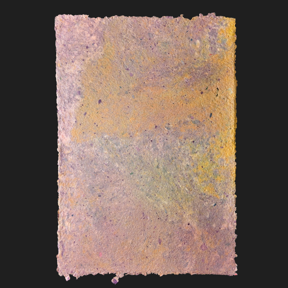 PULP XPERIMENTS [ NOV 25 ]