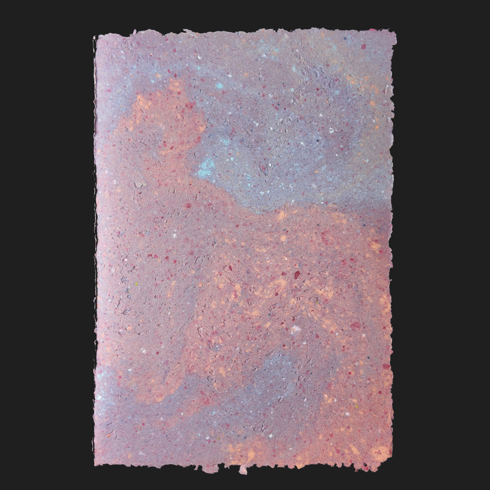 PULP XPERIMENTS [ NOV 25 ]