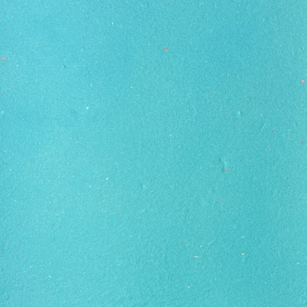 BLU SPEC [ JUL 25 ]