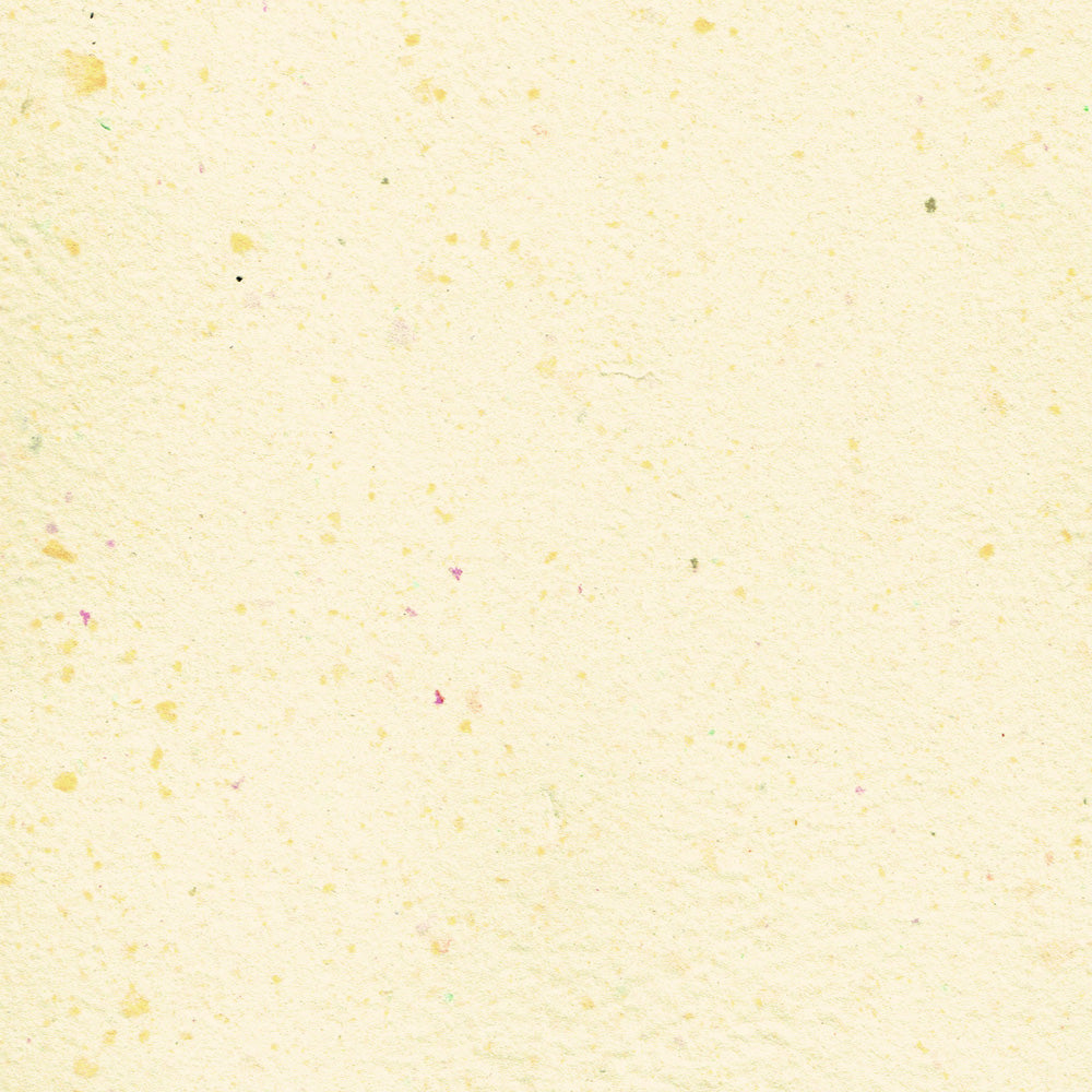ENVELOPE YELLO [ OCT 25 ]