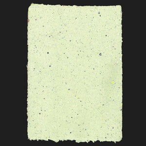 SPECKLED B [ MAY 23 ]