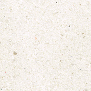 LITE BROWN [ SEP 25 ]