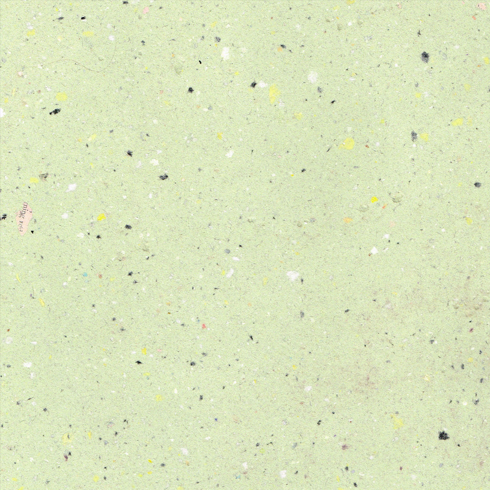 SPECKLED YB [ MAY 23 ]