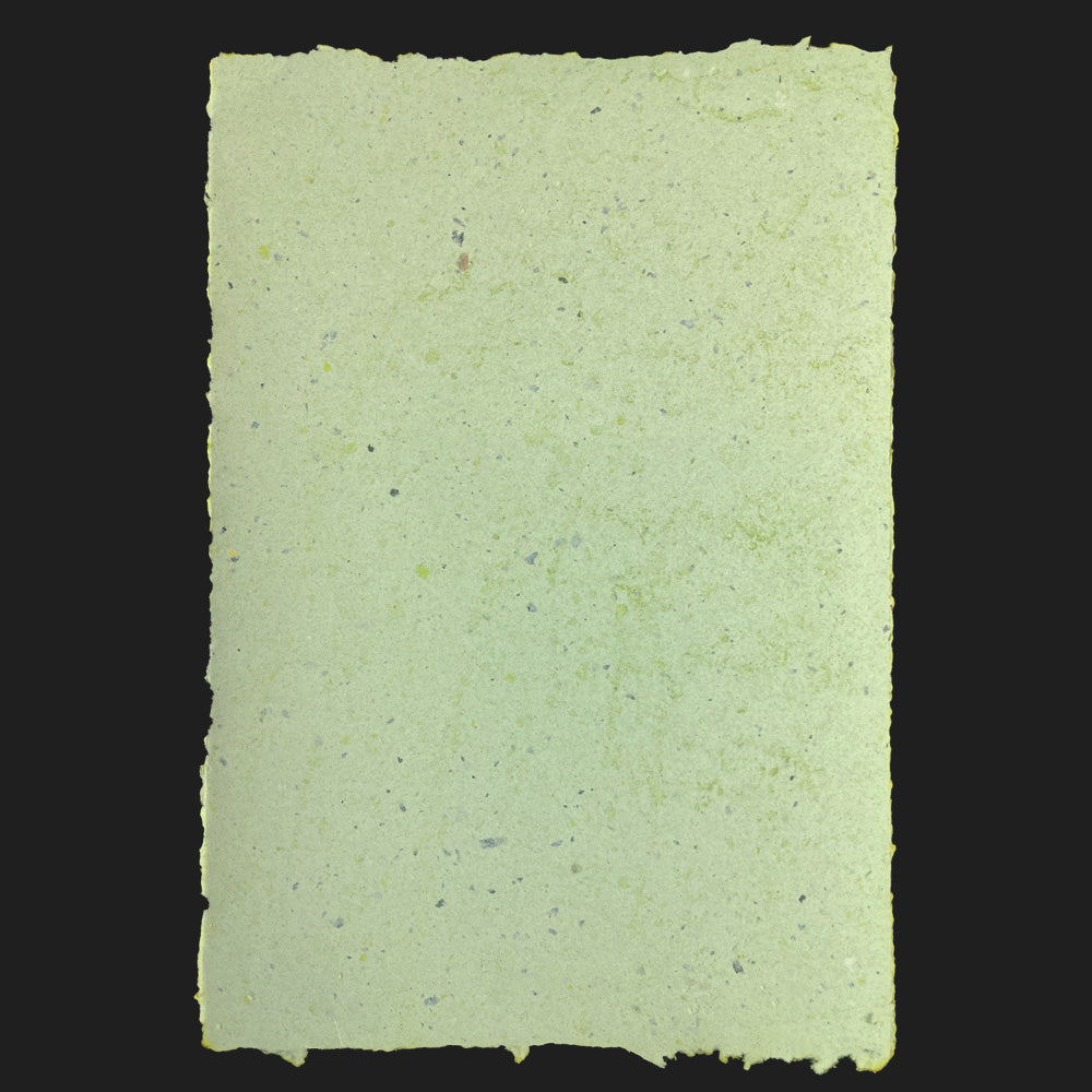 GREEN 2 [ APR 25 ]