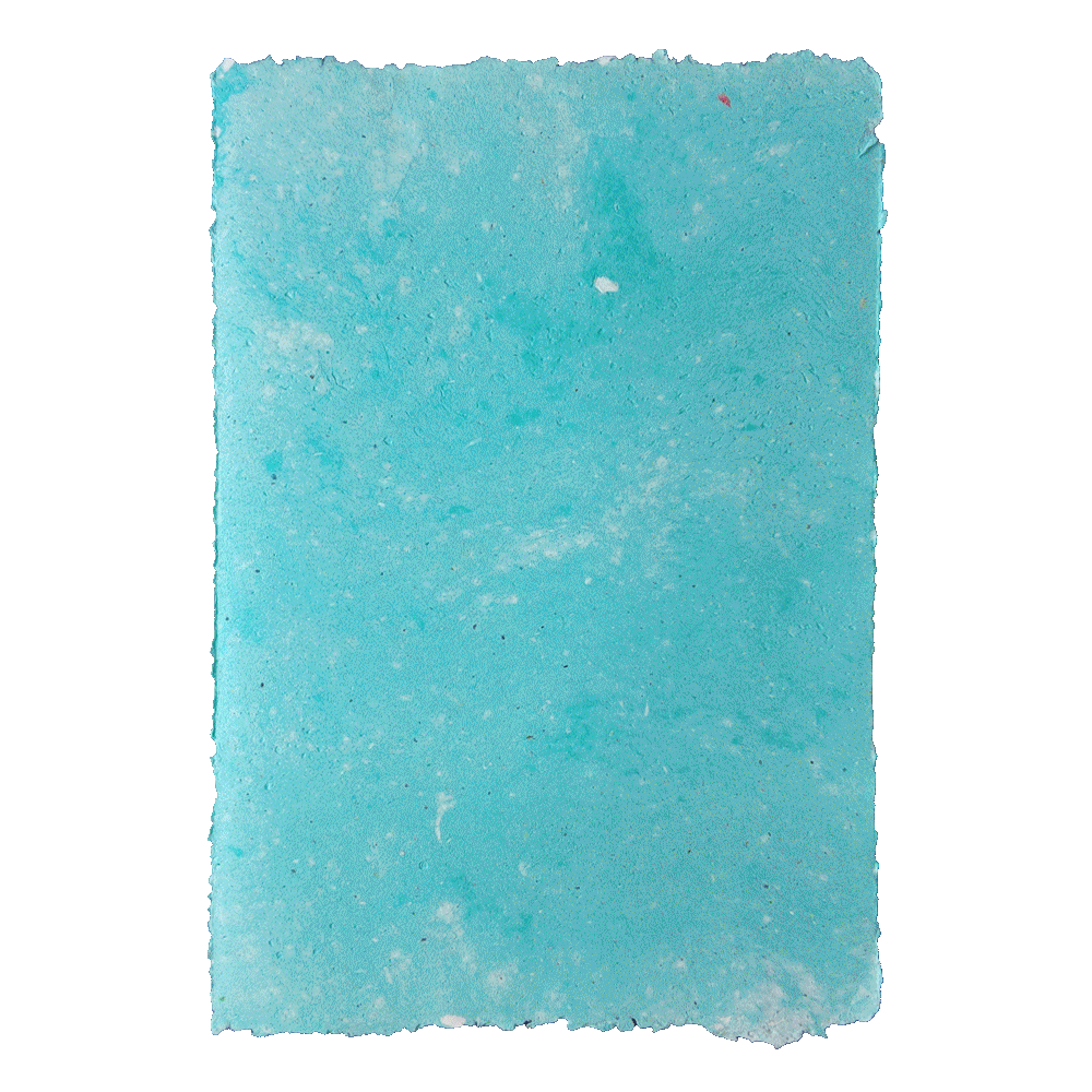 PULP XPERIMENTS [ NOV 25 ]